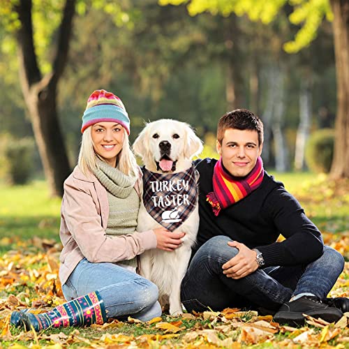 Bandanas para Perro Thanksgiving, 2 Unidades miniatura 7