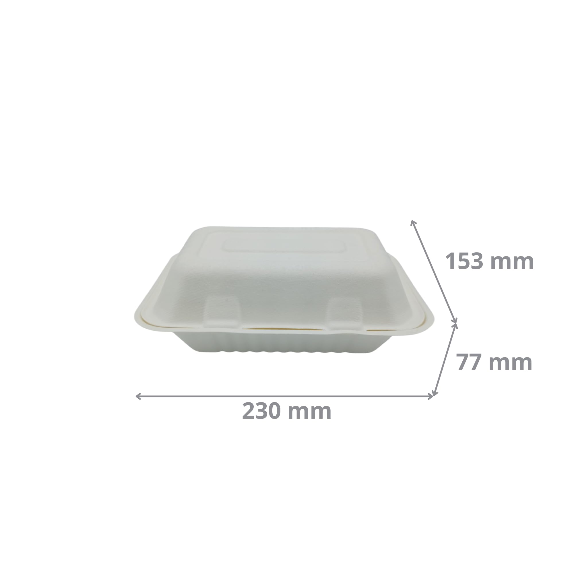 Générique 250 Boîtes à Sandwich Rectangulaires en Fibre de Canne 23x15,3x7,7 cm - Coques pour Burgers, Sandwichs, Paninis, Hot Dogs, Frites, Poulet Frit et Plus