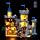 31168 Medieval Horse Knight Castle Remote Control Version