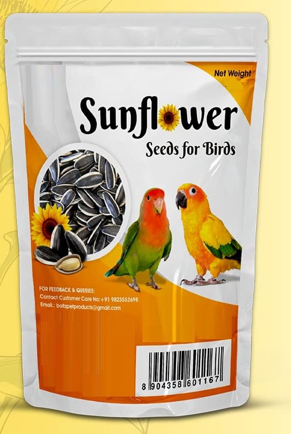 CybeXis Bird Feed Sunflower Seed-[1Kg]