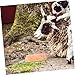 Toddmomy Natural Mineral Salt Block for Cattle Sheep and Horses Promotes Digestion Rich Nutrients Long-Lasting Licking Salt for Better Nutrition and Health
