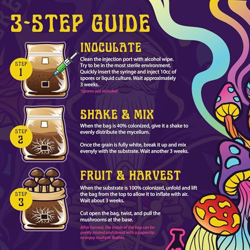 All-in-One Large Mushroom Growing Kit | 4 lb | High Yields | Mycology Supplies with Injection Port | Nutrients Included | Spores Not Included