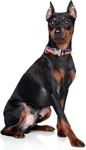 Miniatura 4 de Collar para perro con hebilla de metal bonitos collares ajustables para mascotas para cachorros pequeños medianos y grandes