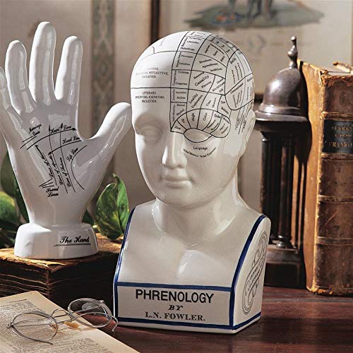 Design Toscano Porcelain Phrenology Head Fortune Telling