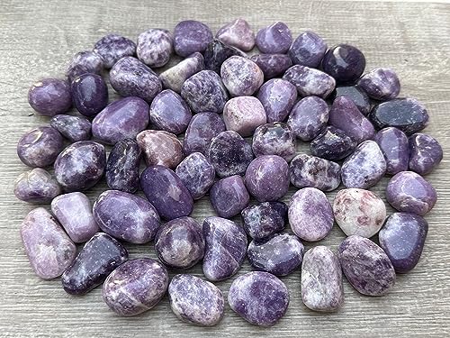 Image of GAF TREASURES 1 /2 LB Lepidolite Tumbled Stones, Polished Lepidolite Gemstone, Lepidolite Healing Crystals (Lepidolite)