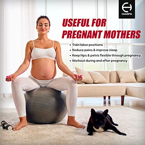 𝗘𝘅𝗲𝗿𝗰𝗶𝘀𝗲 𝗕𝗮𝗹𝗹 For Working Out 65 Cm-Yoga Ball Chair & Balance Ball For Pregnancy, Birthing Physical Therapy & Chair For Office - Stability Ball & Stainless Steel Pilates Bar For Workout #TOP2