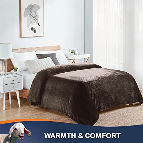 Walensee Fleece Blanket Plush Throw Fuzzy Lightweight (King Size 108X90 Brown) Super Soft Microfiber Flannel Blankets For Couch, Bed, Sofa Ultra Luxurious Warm And Cozy For All Seasons #TOP4
