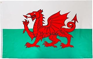 Wales Flag - Pack of 1-5ft x 3ft Welsh Dragon Flag with Eyelets - Sports Supporters St David's Day Party Decoration