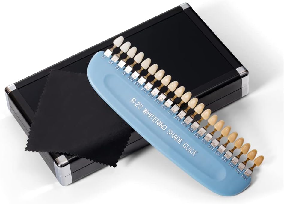 Dental Teeth Shade Guide Professional 3D R22 Tooth