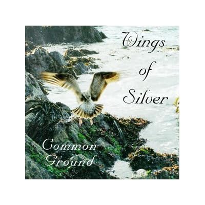 Wings of Silver