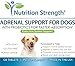 Nutrition Strength Adrenal Support for Dogs, Support for Dogs with Cushing's Disease, Maintain a Healthy Coat and Skin, Promote Normal Urination, Thirst and Appetite, 120 Chewable Tablets