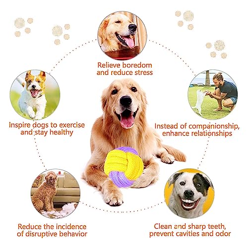 DIDUDE Jouets pour Chien,Ensemble Lot de 18 à Mâcher,durables Indestructible Grands,Moyens et Petits Jouet Chien Interactif,Jouets Mâcher D'entraînement des Dents Interactif - Image 6