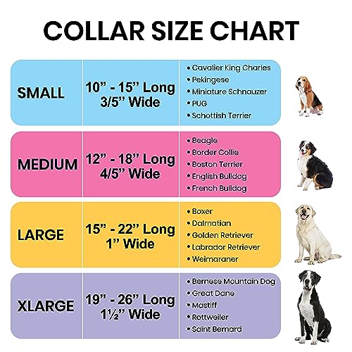 Dog Collars for Small Medium & Large Dogs Stocking Stuffer Long Lasting, Adjustable, Strong Durable Collars for Dogs, Choose from Stunning Patterns and Colors. Red Woven Dog Collar Dog Collars for Small Medium & Large Dogs Stocking Stuffer Long Lasting, Adjustable, Strong Durable Collars for Dogs, Choose from Stunning Patterns and Colors. Red Woven Dog Collar