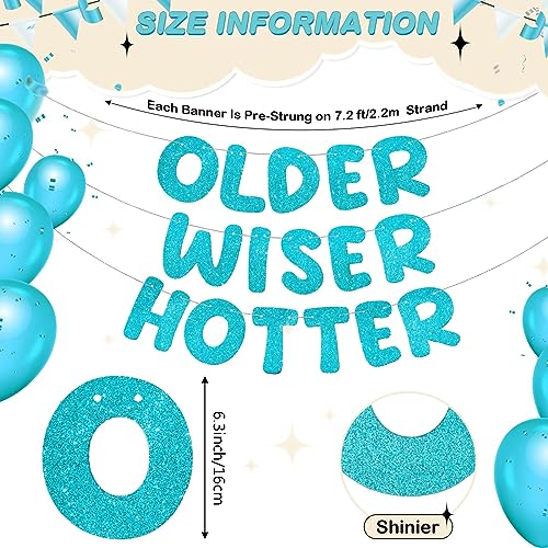 Image of Fulmoon Set of 3 Pre Strung Older Wiser Hotter Glitter Banner Funny Birthday Banner for Women 30th 40th 50th 60th 70th 80th Birthday Party Decorations Sign Gift(Blue)