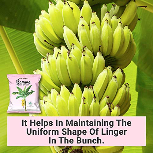 Image of TrustBasket Banana Plant Fertilizer Powder (250 Gm)