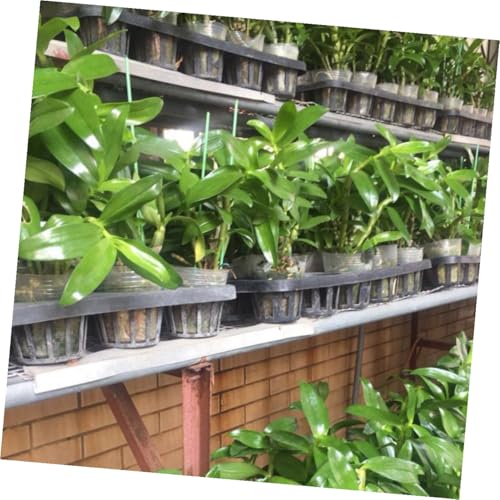 Support pour plateaux de germination plastique noir trous ronds jardinage semis plantes - 7
