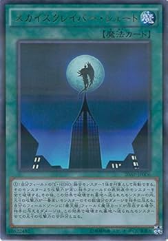 Amazon.co.jp: 遊戯王OCG スカイスクレイパー・シュート パラレル仕様 Amazon.co.jp: 遊戯王OCG スカイスクレイパー・シュート パラレル仕様
