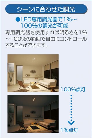 Amazon.co.jp: DDL-4436YW LEDユニバーサルダウンライト 大光電機 