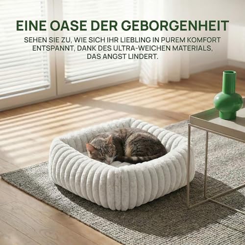 CareCooo Hundebett kleine Hunde & Hundekorb, Hundekörbchen waschbar, Hundesofa & Small Dog Bed rechteckig, Flauschiges Hundekissen für Welpen, weiß, M(63x53x18cm)