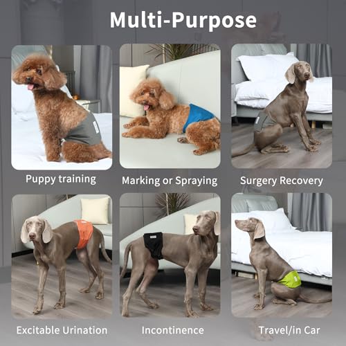 JoyDaog Wiederverwendbare Bauchbänder für Hunde, (5er Pack) Premium waschbare Windeln für Hunde Windeln für Rüden, M