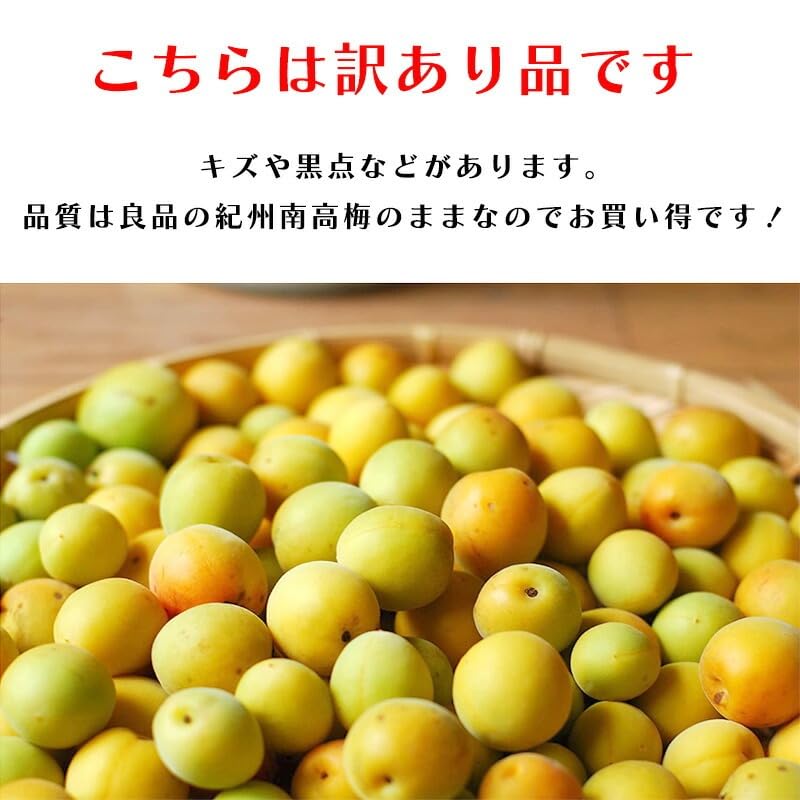 南高梅（完熟）訳あり3Lサイズ箱込み10kg梅干し用滝清園