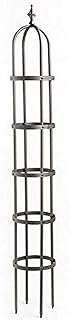Plow & Hearth Metal Garden Obelisk | Indoor/Outdoor | Powder-Coated Stee...