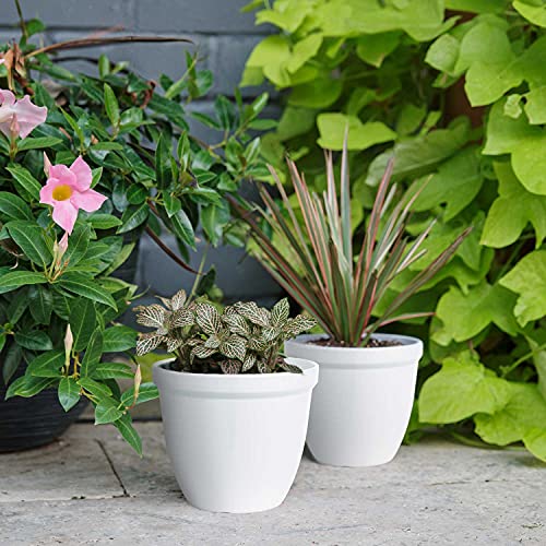Sierra Concepts Flower Plant Pots For Planters 6 Inch - Set Of 6 Plastic Planter Pot Modern Indoor Outdoor For Small Planting, Succulent Plants, Nursery, Orchid, House, Office Décor, Gardening, White #TOP5