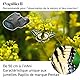 PENTAX Papilio II 6,5x21 Kompaktes Fernglas zur Vogelbeobachtung, für Reisen, Sport und Theater 50-cm-Nahsicht für Museen Hell und klar durch komplette Mehrschichtvergütung, BAK4-Prisma