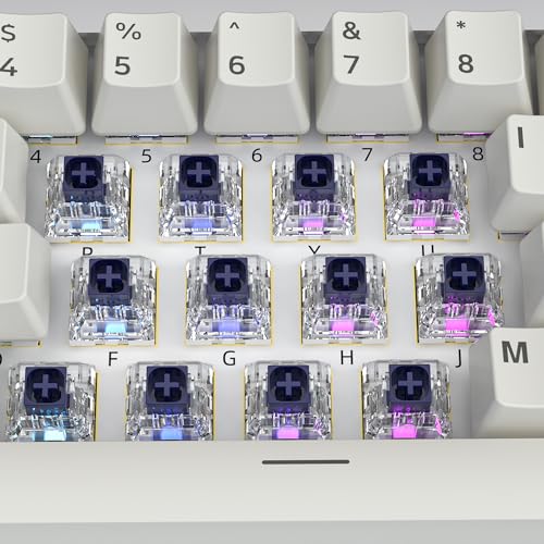 Image of Kailh Box Navy Switches for Mechanical Gaming Keyboard,3-Pin 60gf Clicky /Factory Lubed /IP56 Dust&Waterproof Switches(Kailh Box Navy,72Pcs)