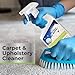 Black Diamond Stoneworks carpet and upholstery cleaner: this fast acting deep cleaning spot and stain remover spray also works great on rugs, couches, and car seats.(1-Quart)