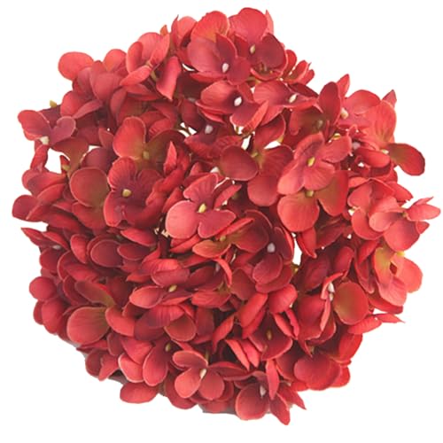 LIXSAZSE ჁeiXԃAWTCԓ̑prVNꂪȒPGKg, IW+bh