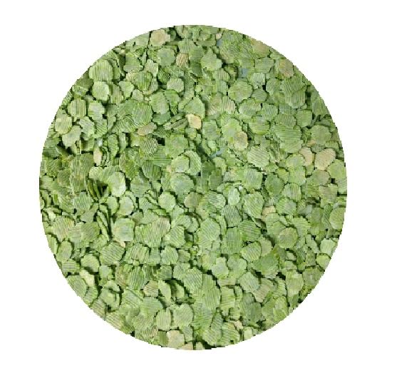 Selections Garden GROUNDBAIT For FISHING Bran, Hemp Seed, Tares, Black Rapeseed, Dog Mixer Dried Kibble in VARIOUS WEIGHTS 500g 1kg 2kg 3kg (FLAKES PEAS 3kg)