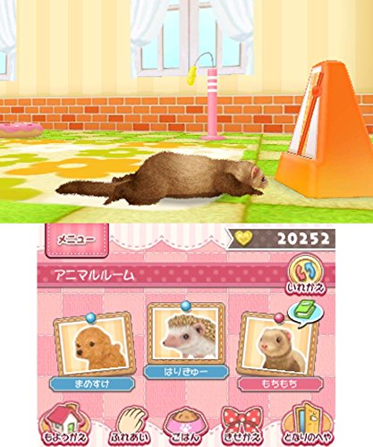 かわいいペットとくらそう！わんニャン＆アイドルアニマル Amazon.com: かわいいペットとくらそう! わんニャン&アイドルアニマル