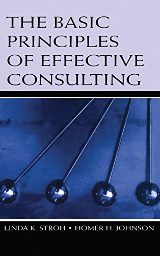 The Basic Principles of Effective Consulting view 2