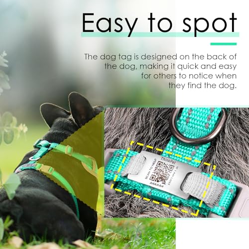 ThinkPet Hundemarke, reflektierend, atmungsaktiv, weiches Air-Mesh mit QR-Code, Erstickungsfrei, für Welpen, kleine, mittelgroße Hunde und Katzen, klein, blaugrün