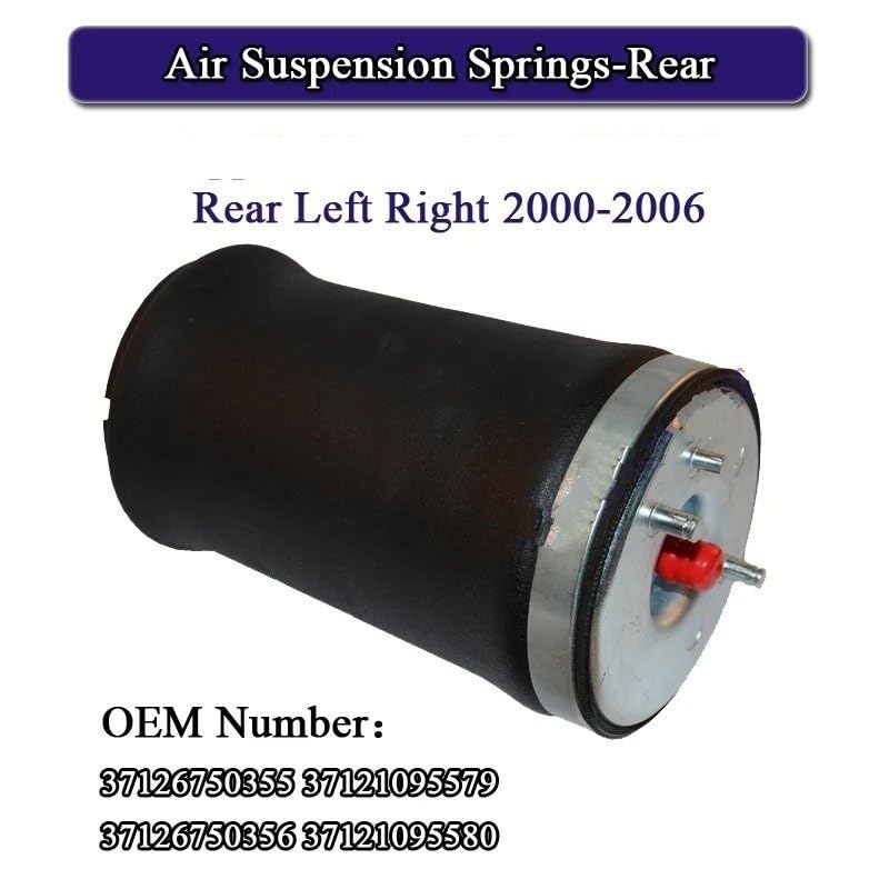 Amortisseurs BMW X5 E53 fuite suspension pneumatique solution