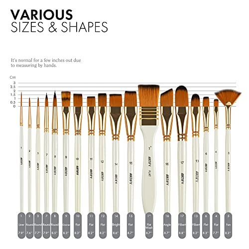 Image of 21 Piece Paint Brush Set, ARTIFY 18 Acrylic Paint Brushes, Palette Knife, and 2 Sponges, Professional Artist Paint Brushes for Acrylics, Watercolors, Gouache, Canvas, and Face Painting, Ivory White