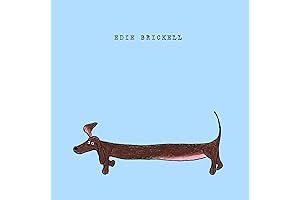 Edie Brickell Solo Album Captivates with Intimate Performances