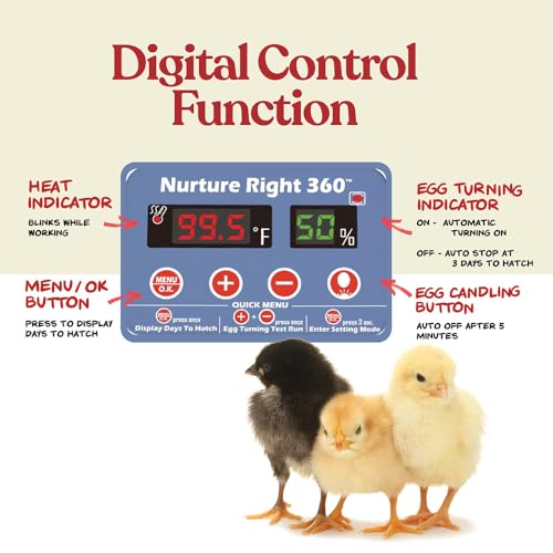 Harris Farms Nurture Right Egg Incubator for Hatching Chicks, Holds 12-22 Eggs, Automatic Turner with Temperature and Humidity Control, 360 Degree View with Clear Window, Incubator for Chickens