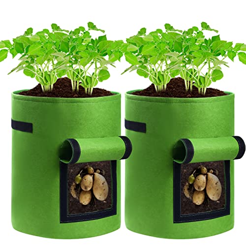 Top 10 Best Plant Grow Bags [Top Picks 2023 Reviews]