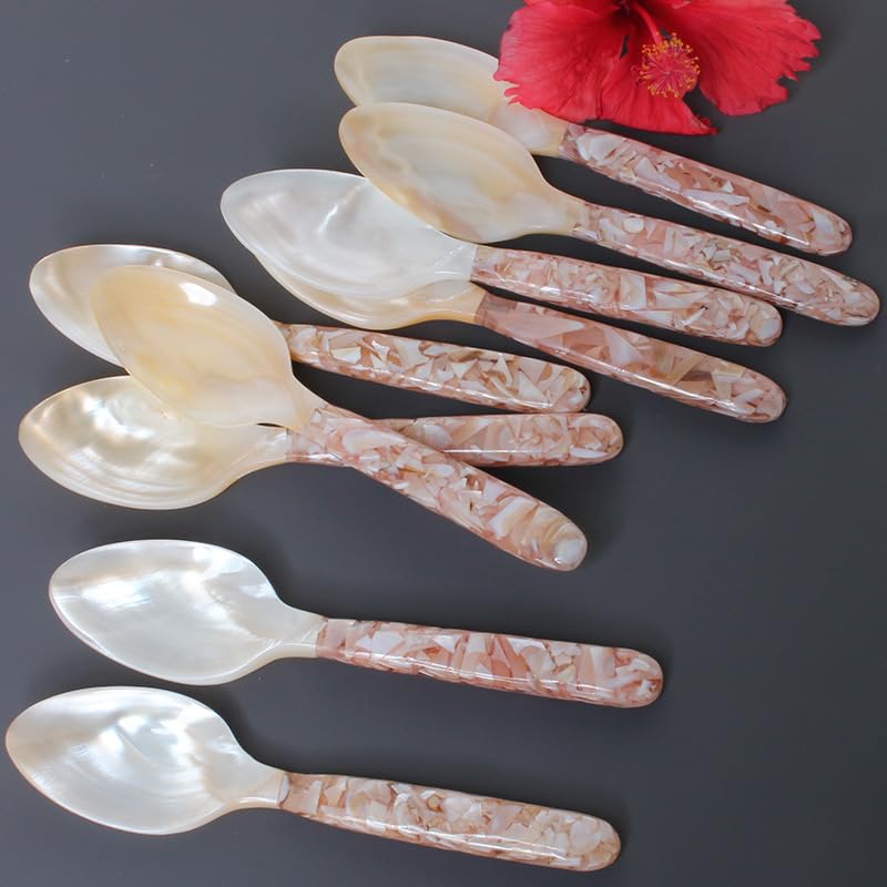 Lagnlnaoy 6.3 inch/4pcs Natural Shell Spoon Long Handle Vietnamese Pearl Shell Spoon Caviar Sauce Teaspoons Coffee Spoons
