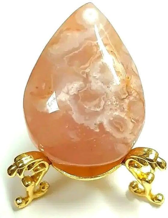 セボンスター75点 セボンスター | カバヤ食品株式会社 フルコンプ