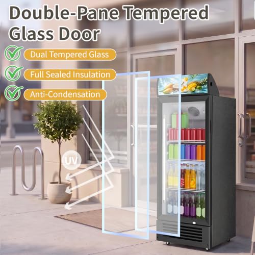 Image of Erivess 6 Cu.Ft Commercial Refrigerators with Double-Tempered Glass Door | Beverage Display Fridge with 7 Level Temp, Merchandiser Drink Fridge with LED Light & Locking Caster for Bar Restaurant Shops