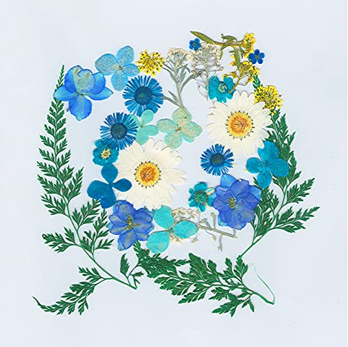 Graffiti Resin Dried Flowers Collection No. 15 (H105) For Resin Artworks