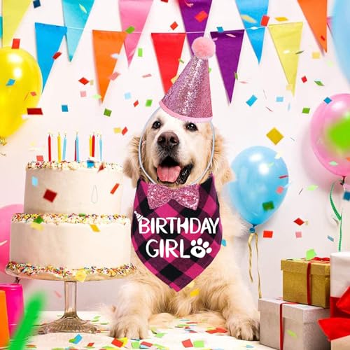 50% Off Dog Birthday Party Set - Hat, Bandana & Bow Tie - Image 7