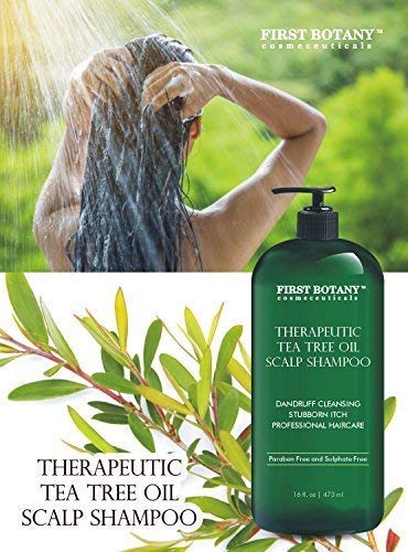 Tea Tree Oil Shampoo 16 fl oz - Anti Dandruff Shampoo Natural Essential Oil For Dry Itchy & Flaky Scalp - Sulfate Free, Anti-fungal, Anti-Bacterial Cleanser - Prevents Head Lice & Thinning