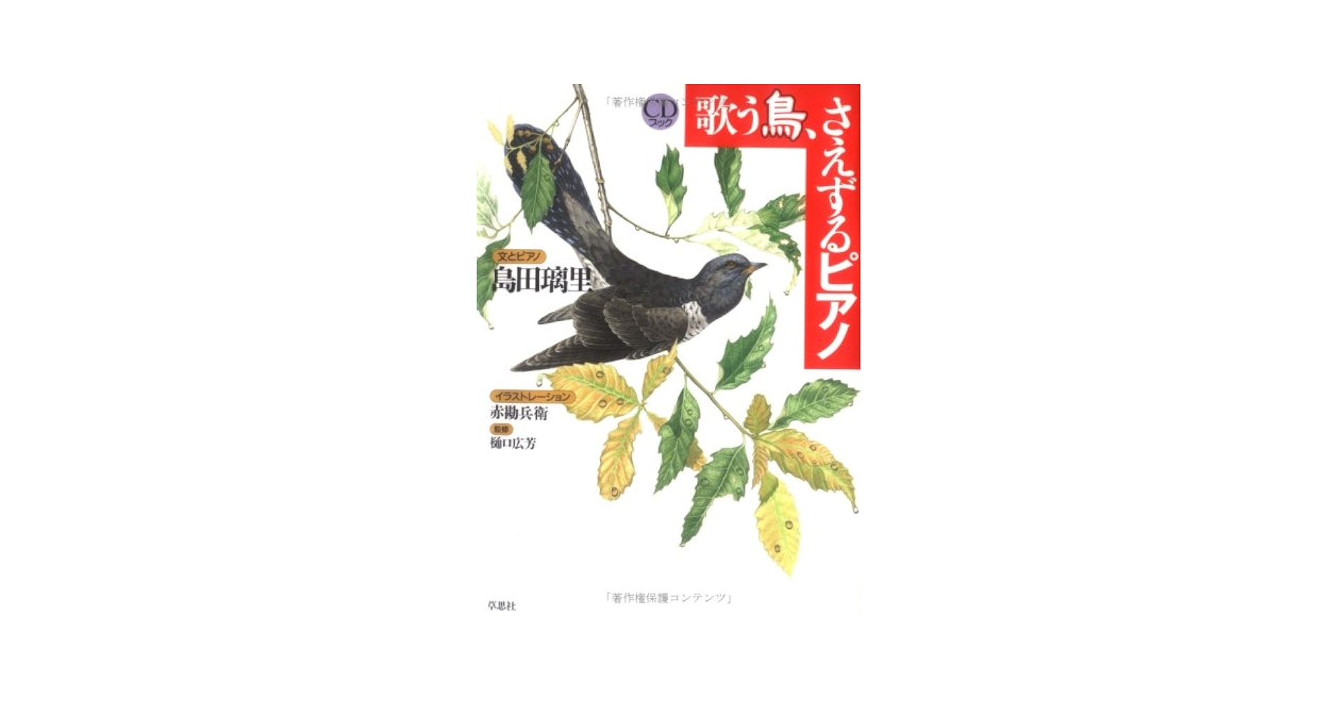 歌う鳥、さえずるピアノ 歌う鳥、さえずるピアノ | 島田 璃里 |本 | 通販 | Amazon