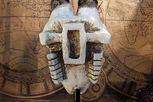 アンテロープ頭部の置物 Amazon.co.jp: アンテロープスカルヘッド(羚羊の頭蓋骨