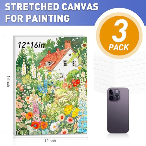ESRICH Stretched Canvas for Painting 12x16 Inch, 3 Pack Blank Canvas -5/8 in Profile Primed Cotton White Canvases for Painting for Oil & Acrylic Paint