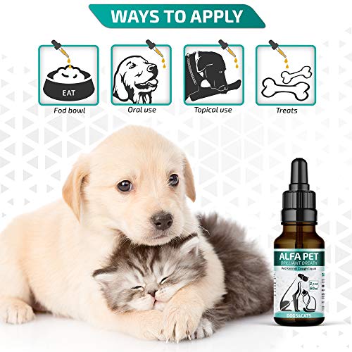 Kennel Cough Medicine for Dogs, Organic Dog Cough Medicine for Colds and Allergies - Natural Kennel Cough Treatment with Mullein Leaf and Elderberry - Thumbnail 5